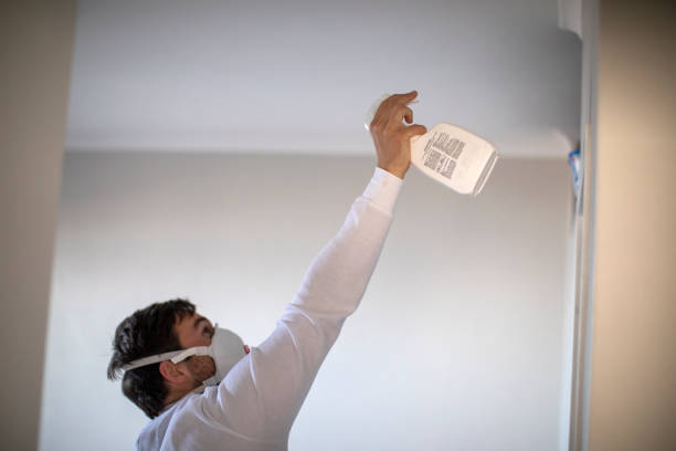Best Black Mold Removal  in West Crossett, AR