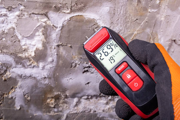 Best Home Mold Removal  in West Crossett, AR