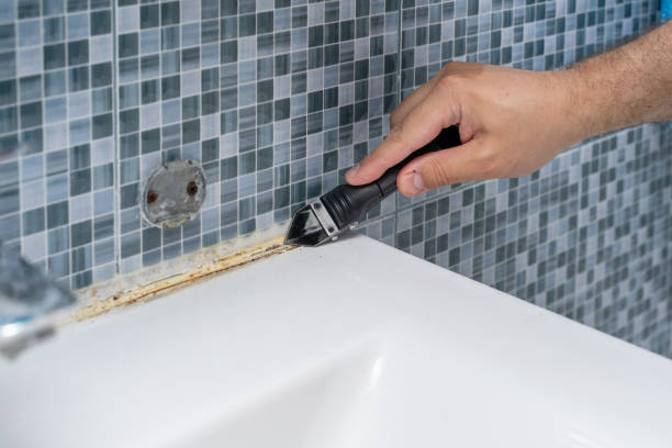 Best Mold Removal Process  in West Crossett, AR