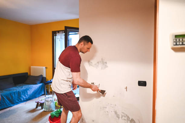 Best Toxic Mold Removal  in West Crossett, AR